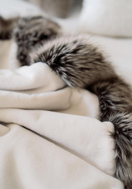 Fabulous-Furs Ivory Faux Sheared Beaver Alpine Weighted Throw  Fabulous-Furs Ivory Faux Sheared Beaver Alpine Weighted Throw