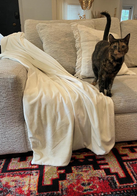 Ivory Lightweight Velvet Throw   Ivory Lightweight Velvet Throw