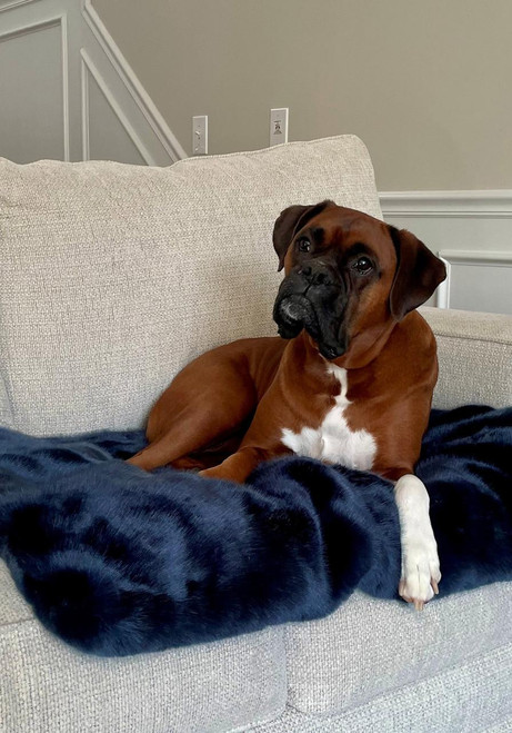 Steel Blue Mink Faux Fur Pampered Pet Throw Steel Blue Mink Faux Fur Pampered Pet Throw