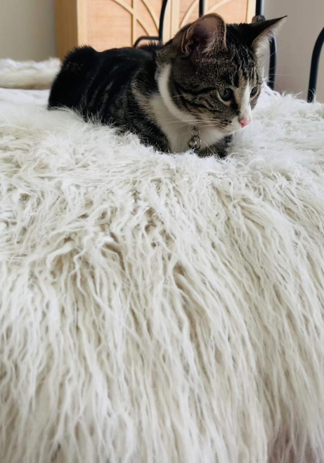 White Tibetan Lamb Faux Fur Pampered Pet Throw White Tibetan Lamb Faux Fur Pampered Pet Throw