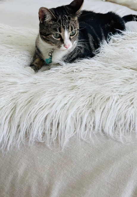 White Tibetan Lamb Faux Fur Pampered Pet Throw White Tibetan Lamb Faux Fur Pampered Pet Throw